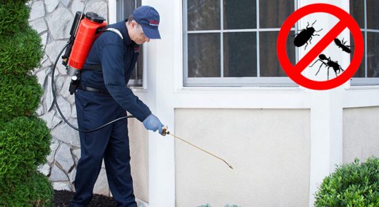 Beyağaç Bit İlaçlama böcek ilaçlama ve haşere kontrolü — ilaclama-tr.com
